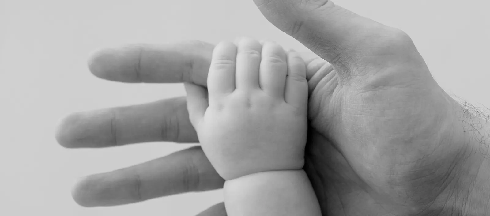 Estate planning documents